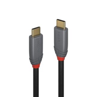 Cable Lindy USB C-USB C Anthra 2m black