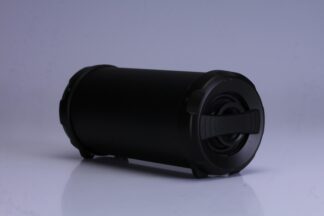 Portable speaker AKAI ABTS-12C