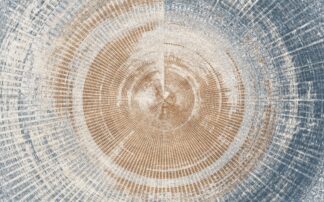 Printed carpet, Harper 70x140