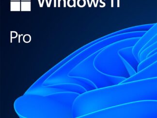 Microsoft Windows 11 Pro 64 bit OEM license English