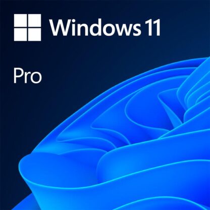 Microsoft Windows 11 Pro 64 bit OEM license English