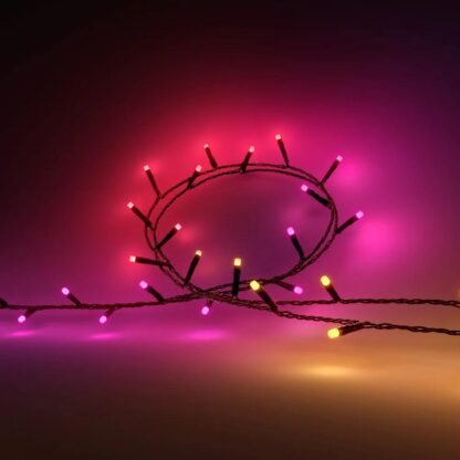 HUE FESTAVIA STRING LIGHTS 250LEDS EU - Image 3