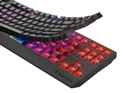 Keyboard WS Genesis Thor 230 TKL R black - Image 16