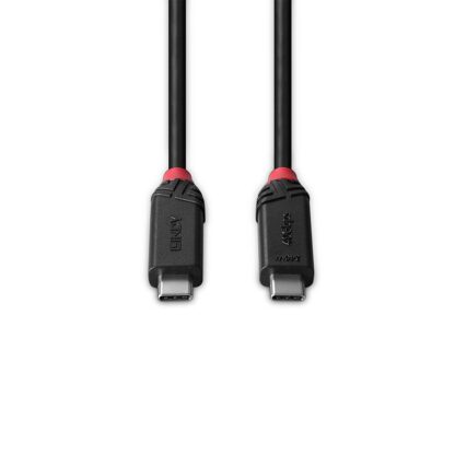 Lindy 2m Type C Male Black Line Cable - Image 3