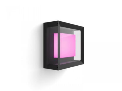 Philips Hue Econic outdoor wall lamp