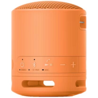 SONY SRS-XB100D portable speaker - Image 2