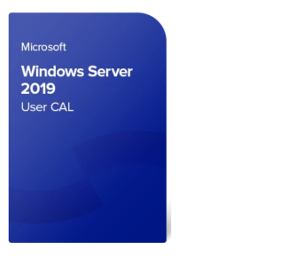Microsoft Windows 2019 Server License, English, 5 CAL User